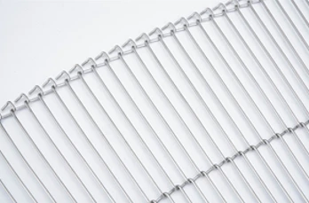 Ladder belt for continuous fried food production lines-2 Ladder belt for continuous fried food production lines-2